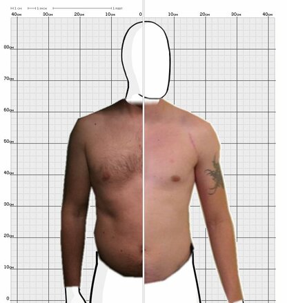 Torso Comparison