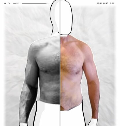 Torso Comparison