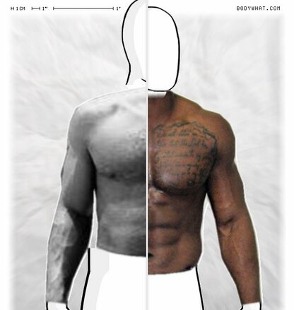 Torso Comparison