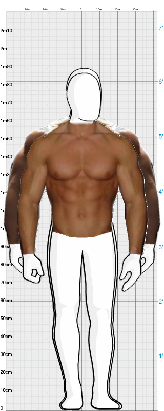 Full Size Comparison