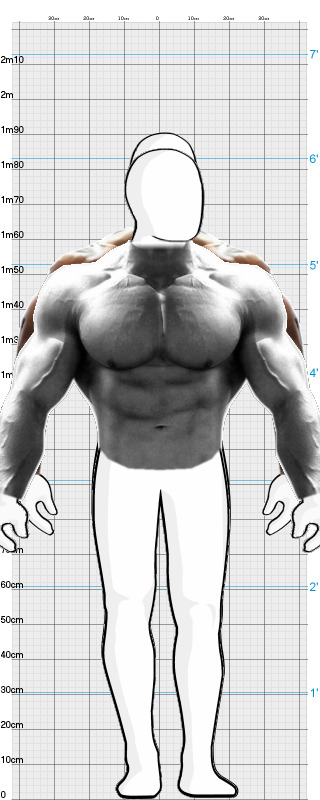 Full Size Comparison