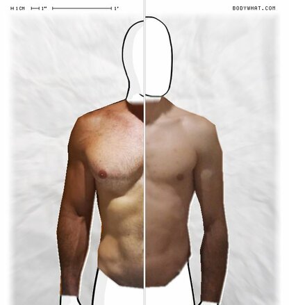 Torso Comparison
