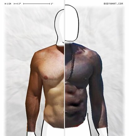 Torso Comparison