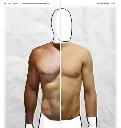 Torso Comparison