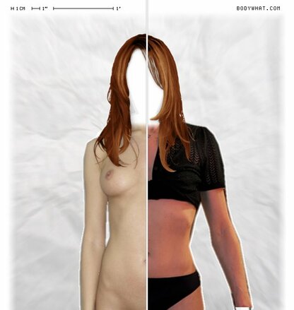 Torso Comparison