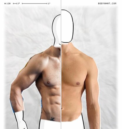 Torso Comparison