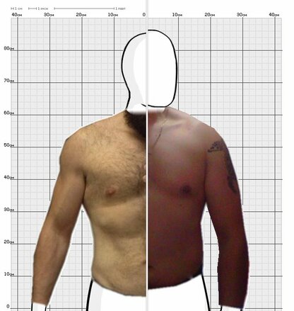 Torso Comparison