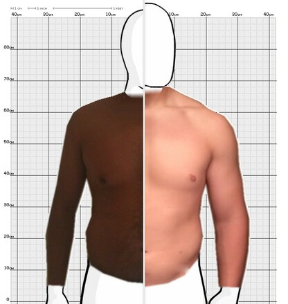 Torso Comparison