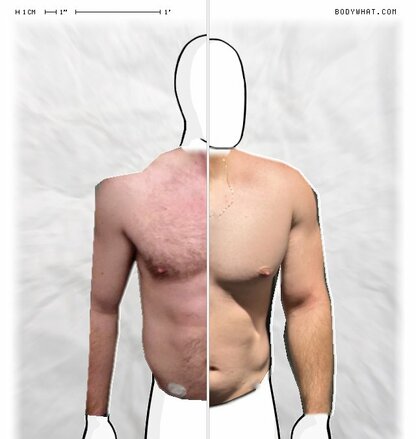 Torso Comparison