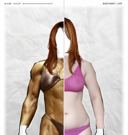Torso Comparison