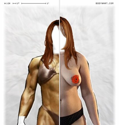 Torso Comparison