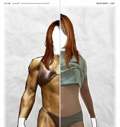 Torso Comparison