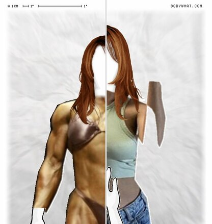 Torso Comparison