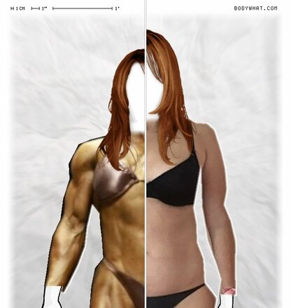 Torso Comparison