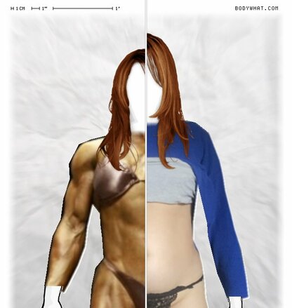 Torso Comparison