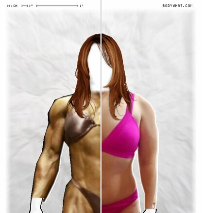 Torso Comparison