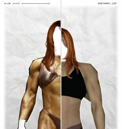 Torso Comparison