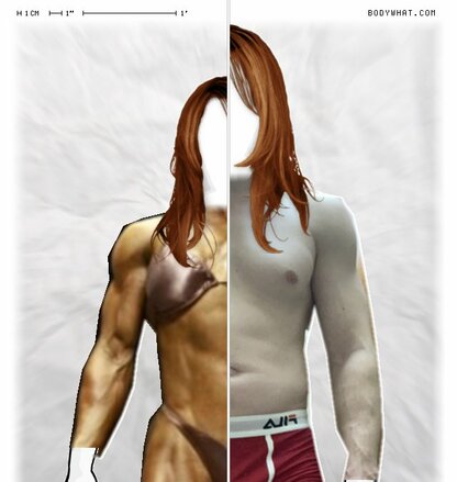 Torso Comparison
