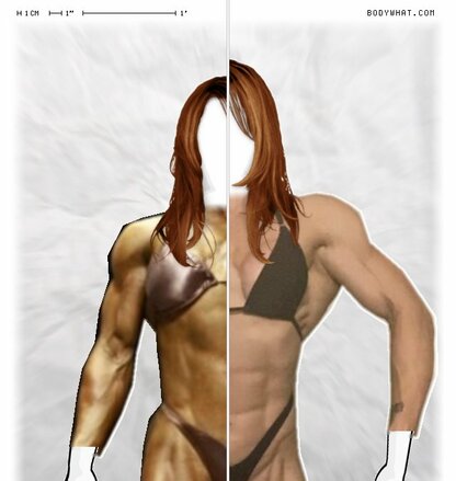 Torso Comparison