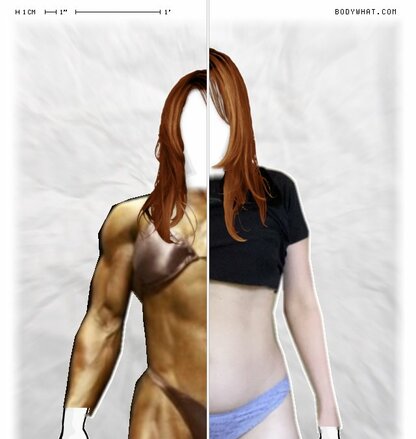 Torso Comparison