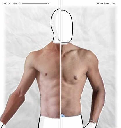 Torso Comparison