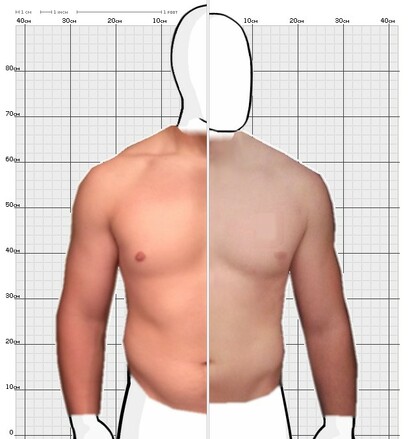 Torso Comparison