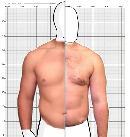 Torso Comparison