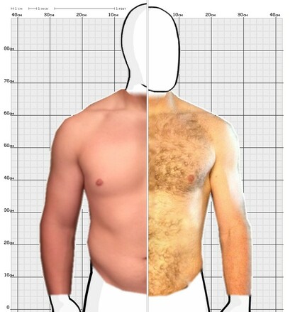 Torso Comparison