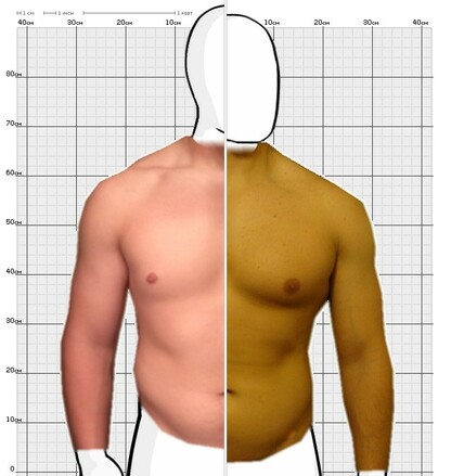 Torso Comparison