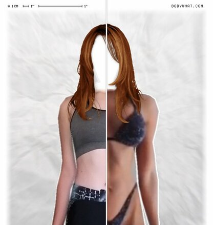 Torso Comparison