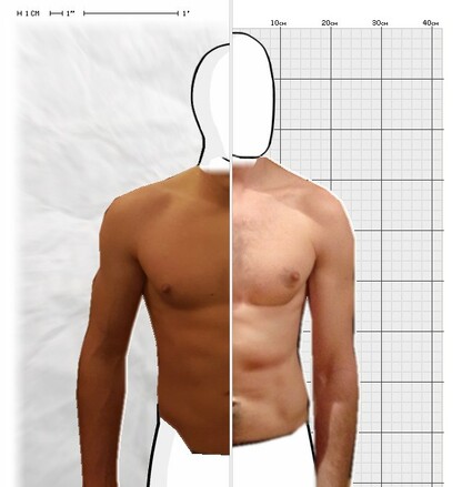 Torso Comparison