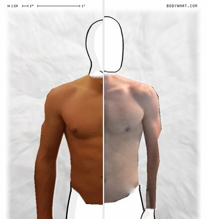 Torso Comparison