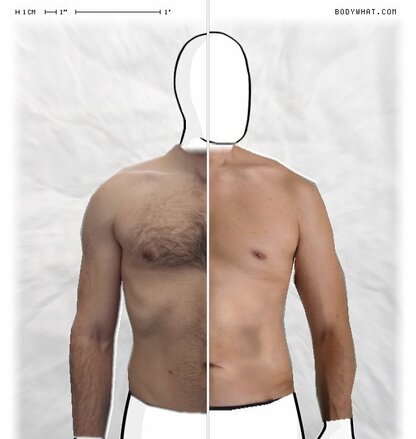 Torso Comparison