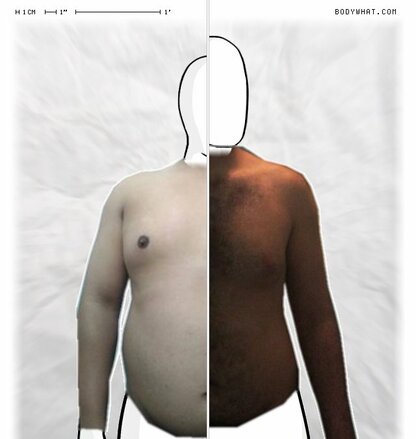 Torso Comparison