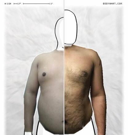 Torso Comparison