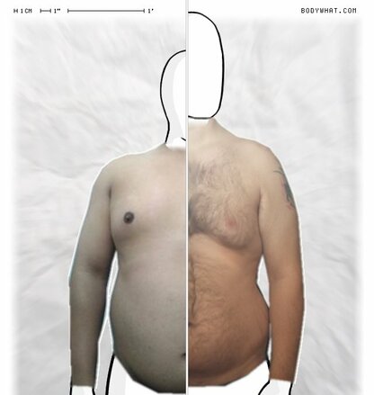 Torso Comparison