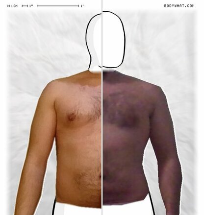 Torso Comparison