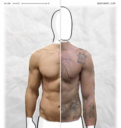 Torso Comparison