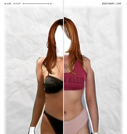 Torso Comparison