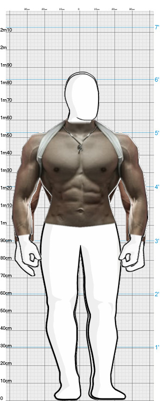 Full Size Comparison