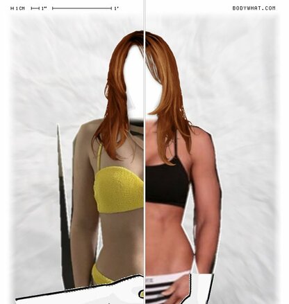Torso Comparison