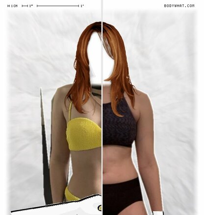 Torso Comparison