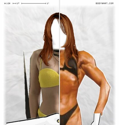 Torso Comparison