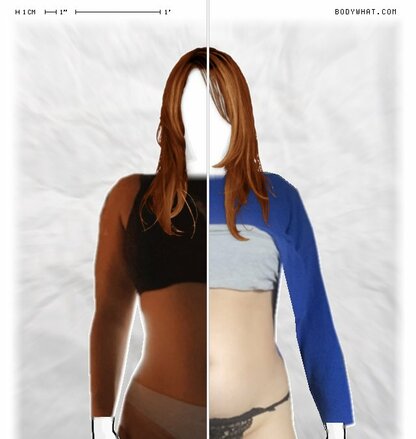 Torso Comparison