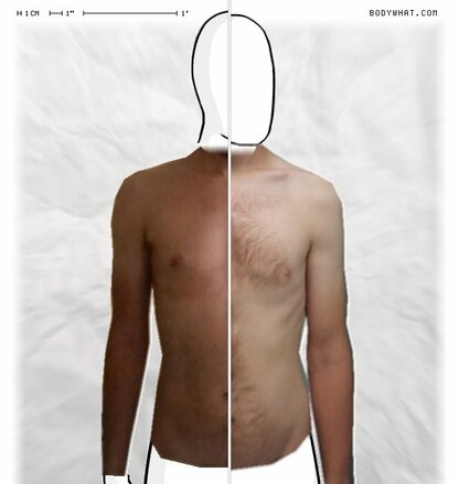 Torso Comparison