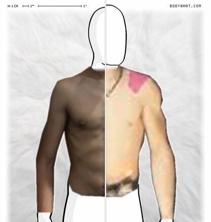 Torso Comparison