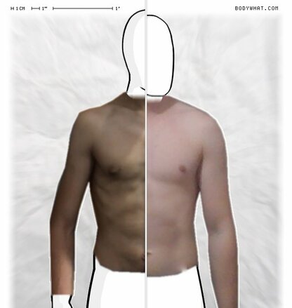 Torso Comparison