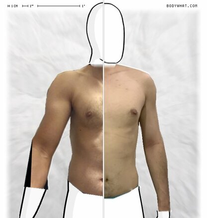 Torso Comparison