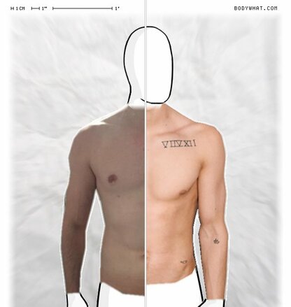 Torso Comparison