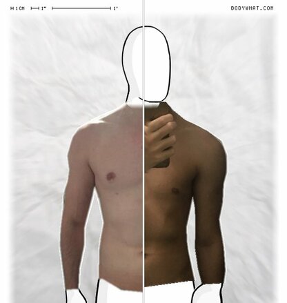 Torso Comparison